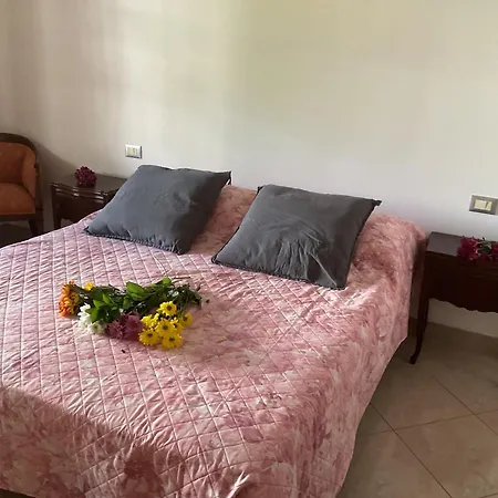 Casa Elena Apartment Pisa